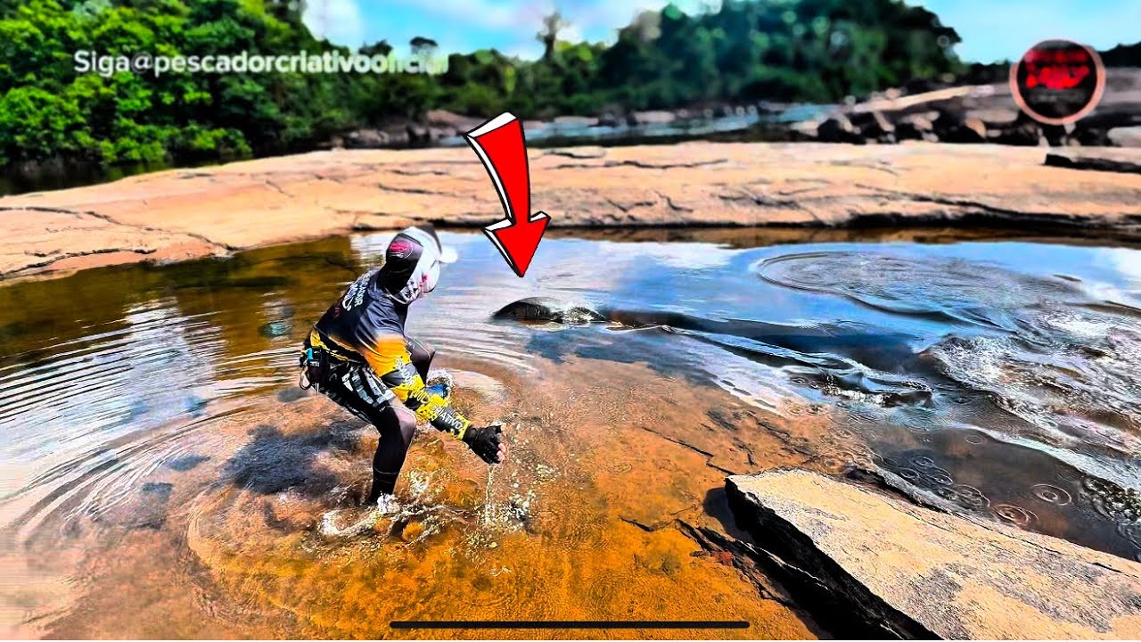 JARIINA “TANQUE DE GUERRA”! O Tucunaré mais raro do mundo. Pescaria