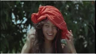 สปอยภาพยนตร์เรื่องไอฟัก (คำพิพากษา)