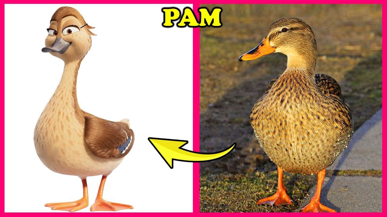 Migration Movie Characters In Real Life