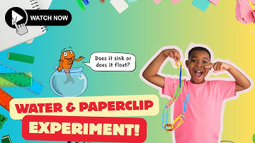 Sink or Float : A Paper Clip and Water Experiment | DJ