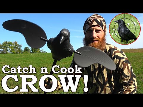 CROW Catch and Cook! | &rsquo;BACON Wrapped Poppers&rsquo; at the Cabin