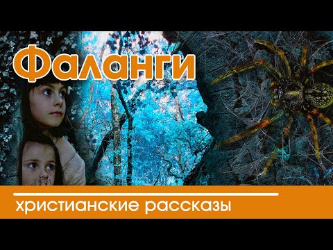 ИНТЕРЕСНЫЙ ХРИСТИАНСКИЙ РАССКАЗ "Фаланги" | Христианские рассказы