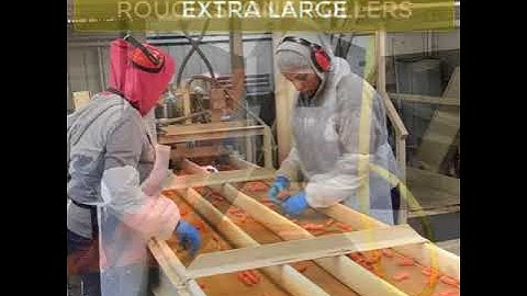 How Baby Carrots are Made