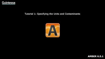 AMBER Tutorial 1: Specifying the Units and Contaminants