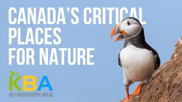 Canada’s Key Biodiversity Areas (KBAs): Protecting Nature’s Most Important Places