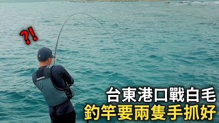 釣竿請務必抓緊，台東的大魚沒有在跟你開玩笑的啦! 正面對決台東港口大白毛~