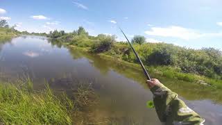 Ловля рыбы на медведку, видео rybachil.ru