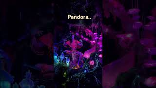 Walt Disney World, Animal Kingdom, Avatar Pandora River! BTS