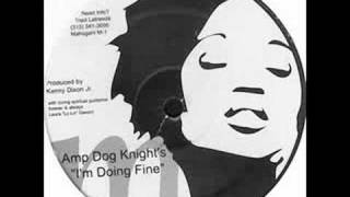 Amp Dog Knight - I&#39;m Doing Fine