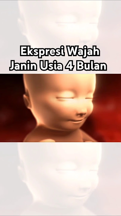 Ekspresi Wajah Janin Usia 4 Bulan