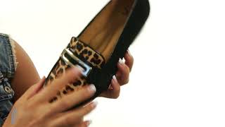 Sofft Brandis SKU: 8941369