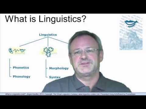 Video: Vai valodniecība ir pieprasīta?