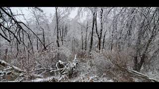 Memories on Vargo Hill 2020 1 3