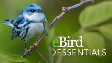 Learn eBird Essentials - Bird Academy