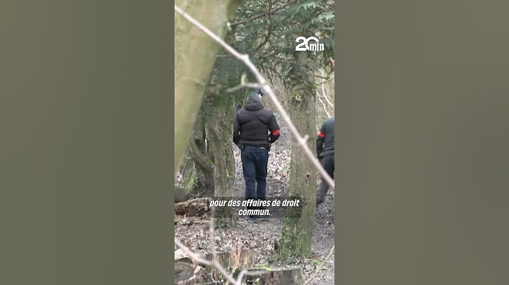 Le principal suspect vient de reconnaître le meurtre de Louise