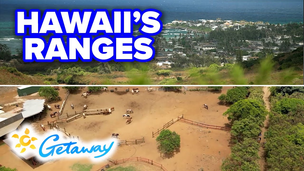 Discovering Hawaii's Gunstock Ranch Getaway YouTube