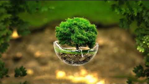 Traducción de Sura Al-Infitar al español -- ترجمة سورة الانفطار الى اللغة الاسبانية