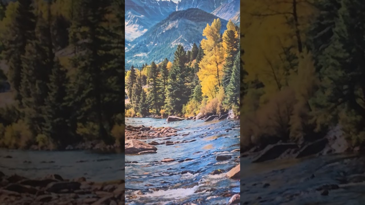 🦜🙎👀😊#Parrot #singer #animallovers