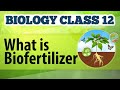 What Is Biofertilizer - Microbes in Human Welfare - Biology Class 12