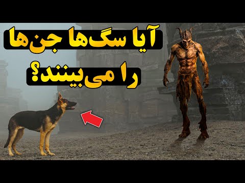 سگ و گربه و ارتباطات پنهان با دنیای جن و شیاطین