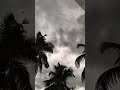 When the Sky Changes Mood ⛈️✨...#StormChaser #Thunderstorm #LightningStrike #NatureIsPowerful