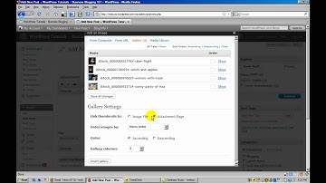 WordPress Tutorial - Where is Insert Image Into Post Button - Add Image Gallery