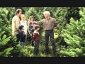 November Christmas - Choosing a Tree