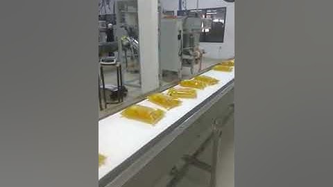 Edible Oil Packaging to Carton Loading – Neo Conveyors’ Seamless Automation Solution!| Neo Conveyors