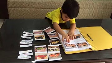 Moksh busy with File Folder Activity: Matching & Labelling color cars