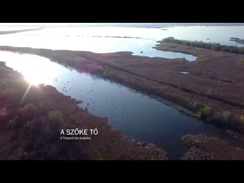 A szőke tó - A Tisza-tó hat évszaka (teljes film)