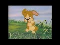 End of video