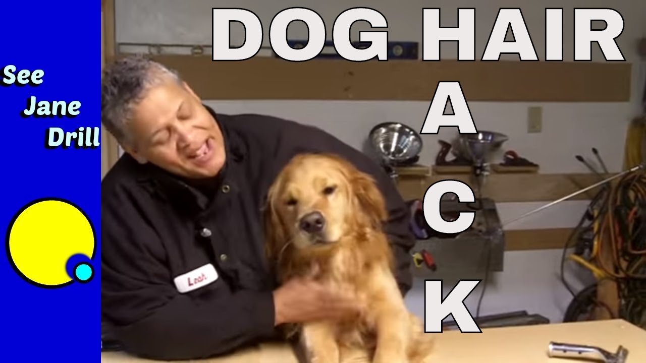 A Quick And Easy Solution To Remove Pet Hair From Carpeting On Stairs