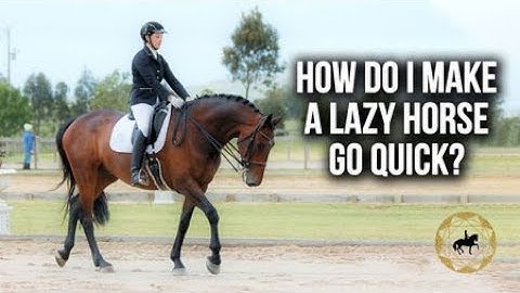 HOW DO I MAKE A LAZY HORSE GO QUICK? - Dressage Mastery TV Episode 277