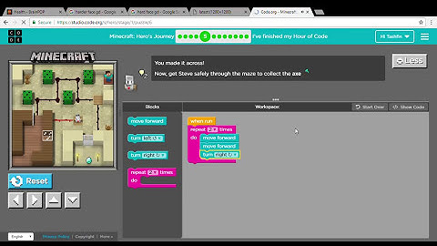Code org-Minecraft Hour of Code-Hero