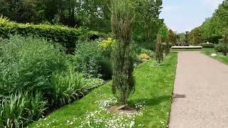 beautiful Regent's Park London. May 2024. #parks #nature #wildlife #flowers #birds #trees #shrubs