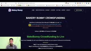 BAKERYBUNNY PROJECT REVIEW , CROWDFUNDING IS LIVE || PART 1