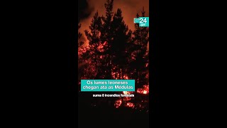 🔥 LEÓN | Os LUMES chegan ata as MÉDULAS, Patrimonio Mundial