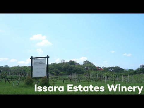 Issara Winery - ความหลงใหล ความผูกพันธ์ และความชอบ จากครอบครัว สู่ไร่ไวน์อิสระ