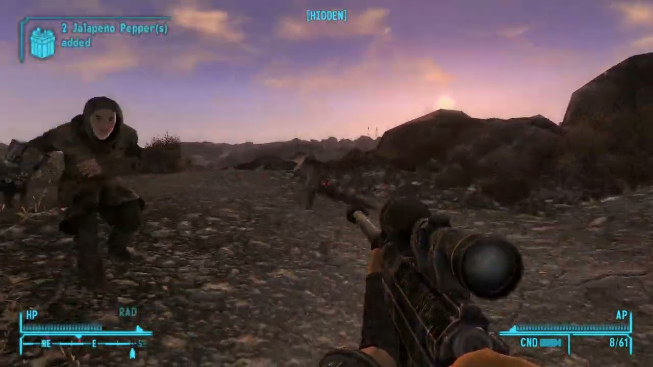 wasteland adventures