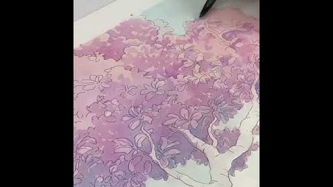 T54- VẼ HOA BẰNG MÀU NƯỚC phương pháp đi màu trên khổ rộng siêu đẹp