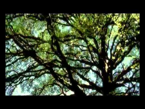 Saba Obur Az Lahzeha Music Video