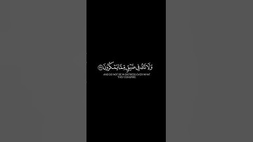 واصبر وما صبرك إلا بالله |||| #ياسر_الدوسري #سورة_النحل #القرآن_الكريم #القرآن #قرآن #اكسبلور #لايك