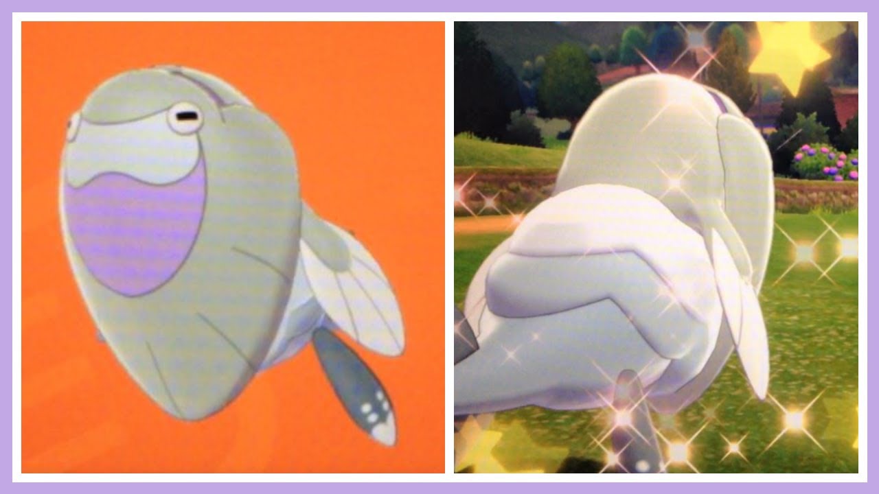 Live Full Odds Shiny Arctovish After 465 Fossils Revived In Pokemon Shield Galar Dtq 4 Youtube