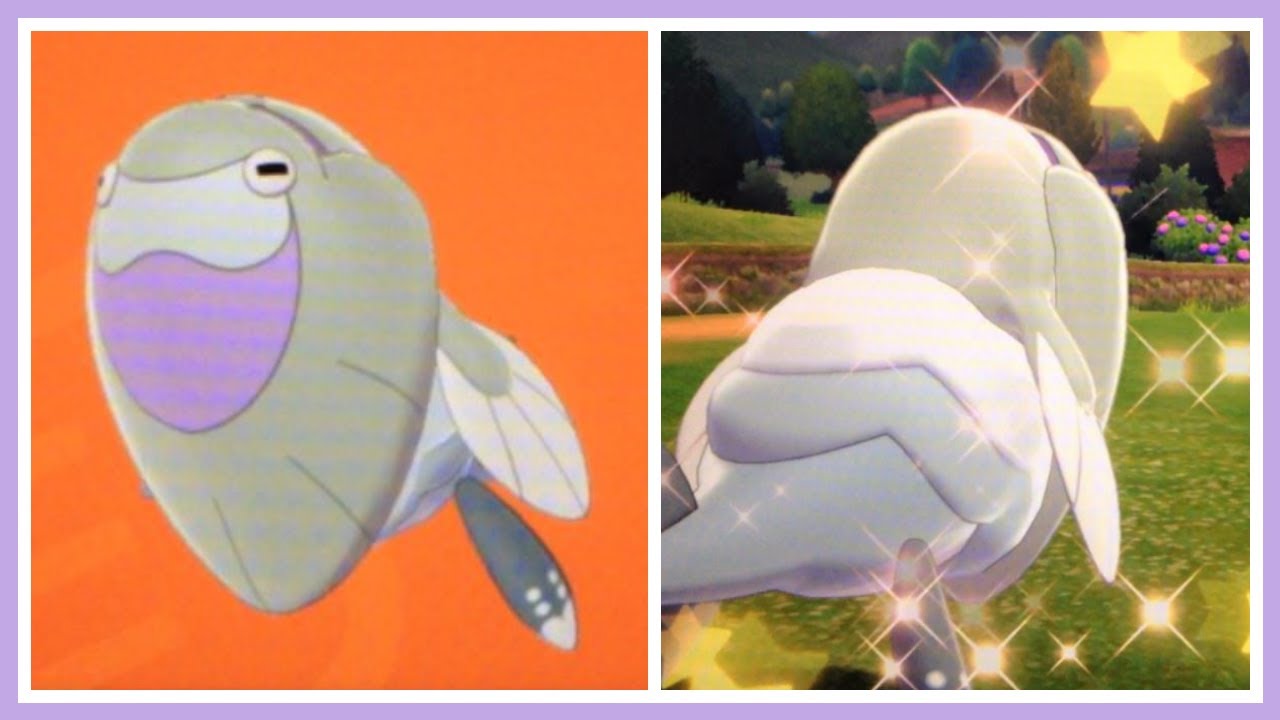 Live Full Odds Shiny Arctovish After 465 Fossils Revived In Pokemon Shield Galar Dtq 4 Youtube Live Full Odds Shiny Arctovish After 465 Fossils Revived In Pokemon Shield Galar Dtq 4 Youtube