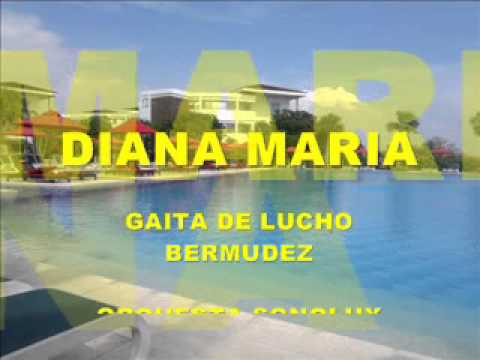 DIANA MARIA GAITA LUCHO BERMUDEZ