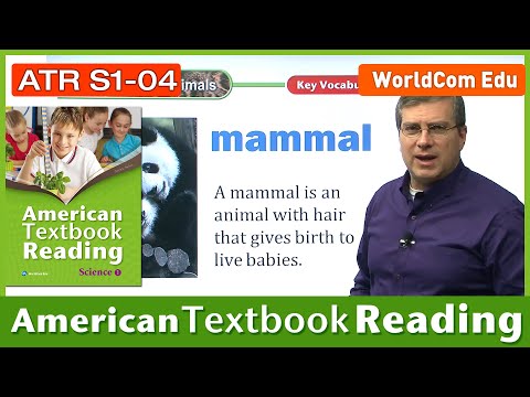 Learn English | American Textbook Reading | Science Grade 1 | Lesson 4 | Brian Stuart (미국교과서)