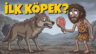 İlk İnsanlar Vahşi̇ Hayvanları Nasıl Evci̇lleşti̇rdi̇?
