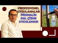 İSTEDİĞİNİZ YERDEN DAL ÇIKARTIN | PROFESYONEL CEVİZ YETİŞTİRİCİLİĞİ