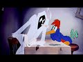 Woody Woodpecker Pantry Panic 1941 Remastered HD 