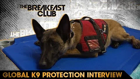 Global K9 Protection Founder Courtney Graham-Robbi...